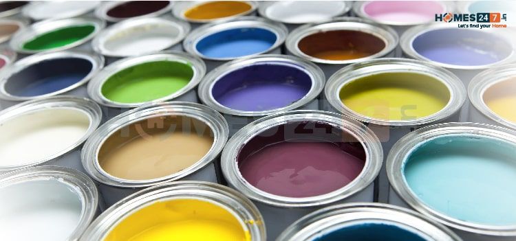 different types of paints and finishes