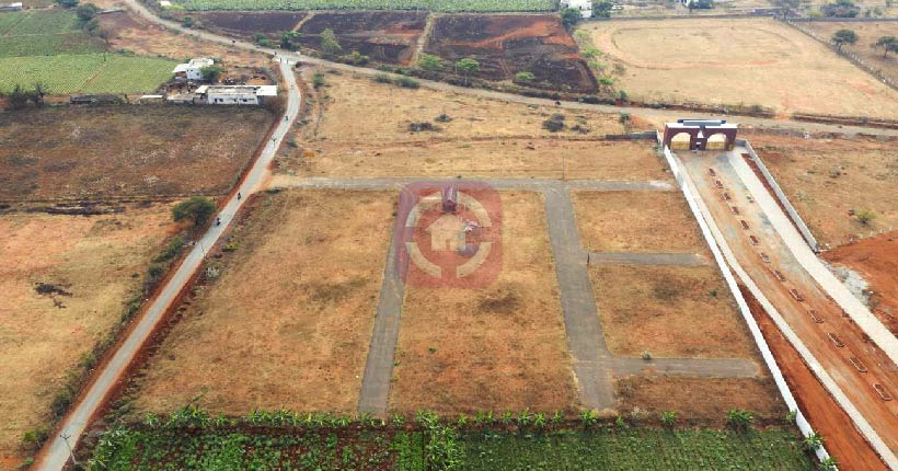 OTTITI Balu Garden Cover Image